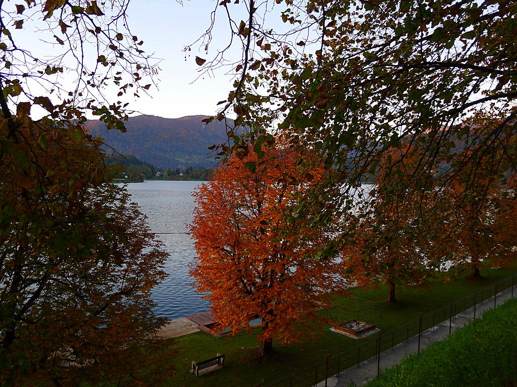 Bled Lake
